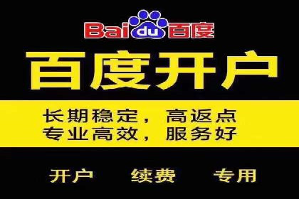 百度竞价排名案例：如何打造爆款广告并提升品牌形象